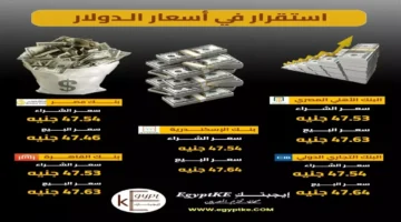 تحديثات الصرف.. تراجع سعر الدولار أمام الجنيه المصري في تعاملات البنوك الأخيرة